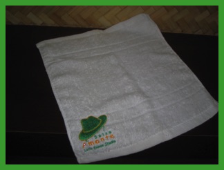 SalsaAmante Towel